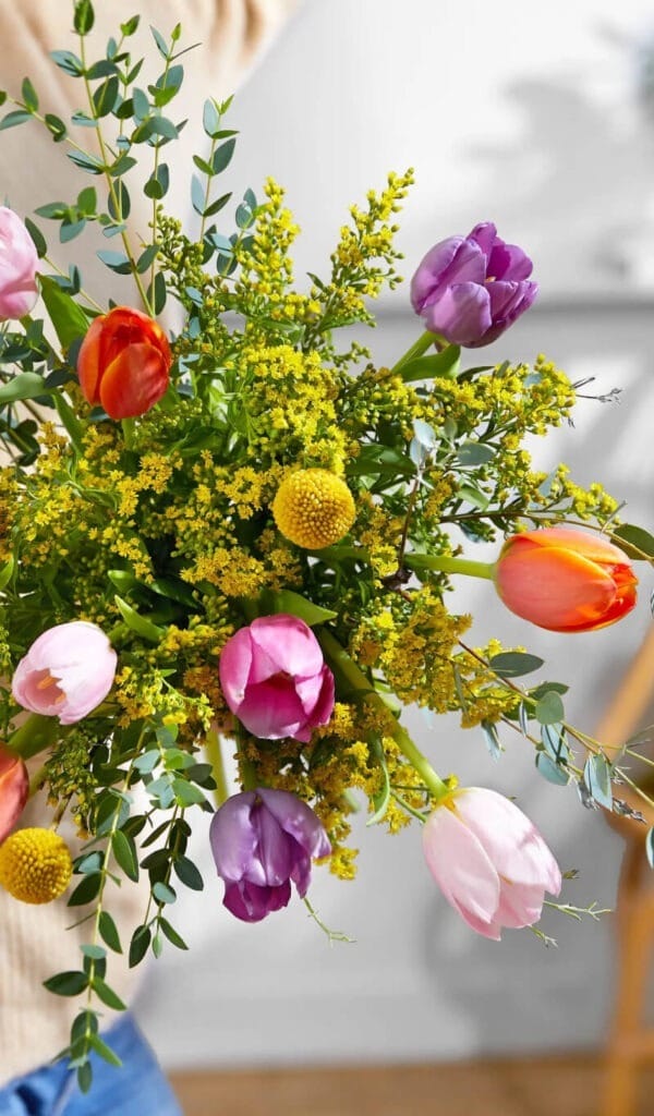 Tulipanes de temporada