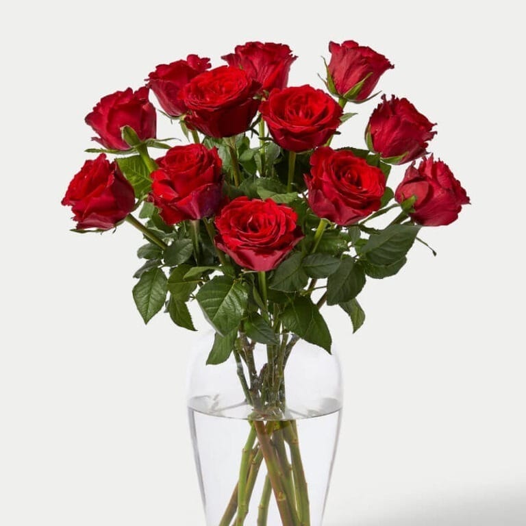 12 Rosas Para Personalizar - Les Fleurs Madrid