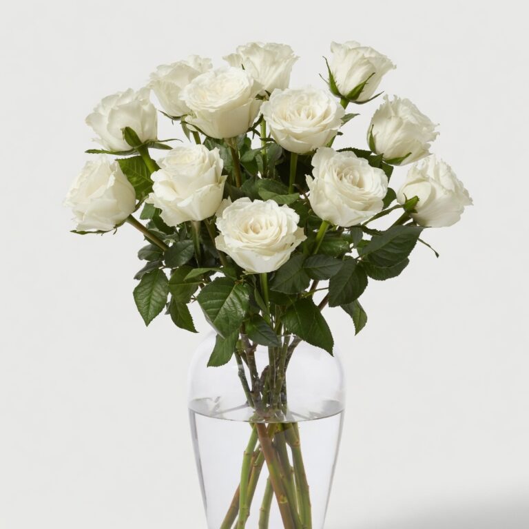 12 Blancas - Les Fleurs