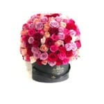 150 Rosas