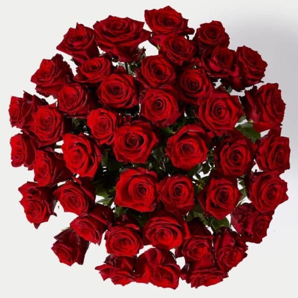 50 Rojas Perfumadas XL - Imagen 2 | Les Fleurs Madrid