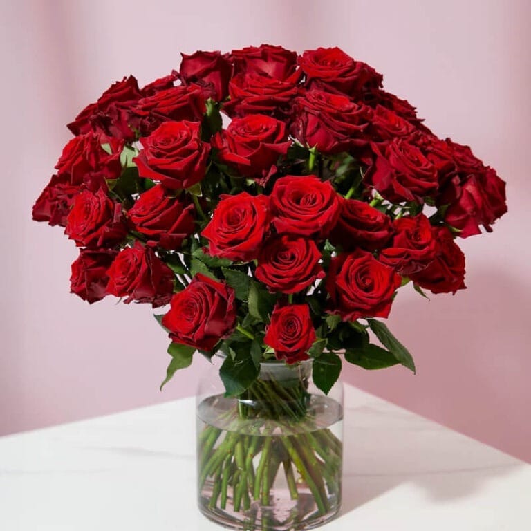 50 Rojas Perfumadas XL - Les Fleurs Madrid