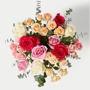 Afrodita Les Fleurs cenital