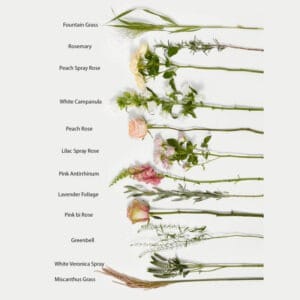 Artemisa Les Fleurs-1