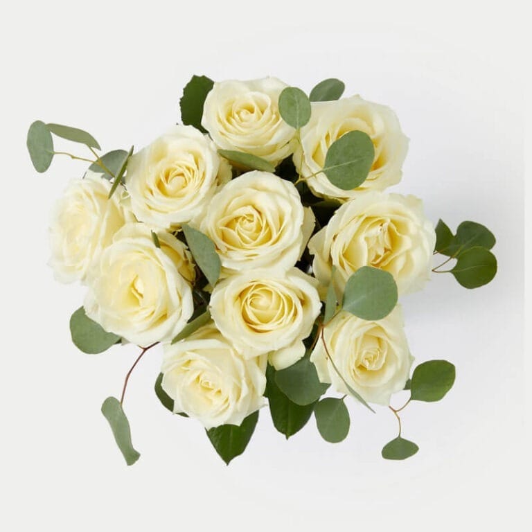 Athenas Les Fleurs - Les Fleurs