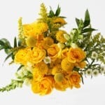 EL ELLINGTON Les Fleurs cenital