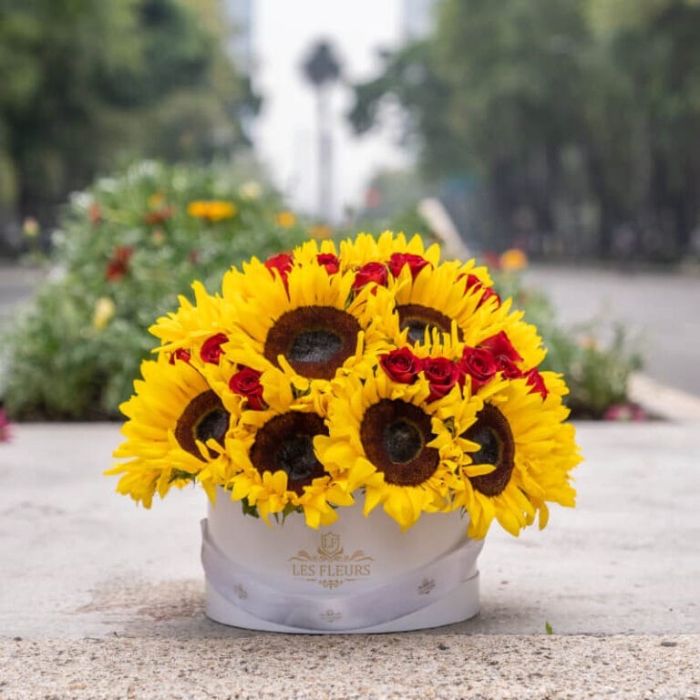 Girasolado de Lujo - Les Fleurs Madrid