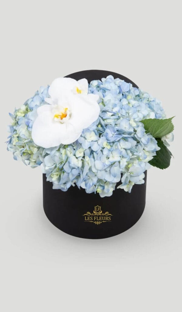 Hortensias de temporada
