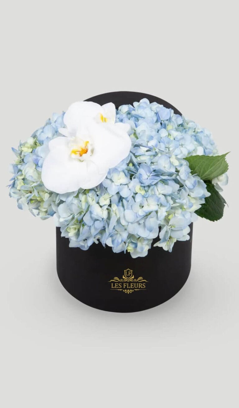 Hortensias - Les Fleurs