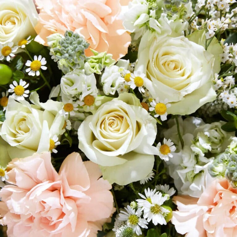 Julieta - Les Fleurs Madrid
