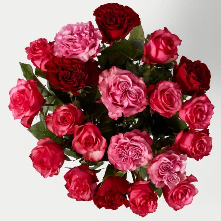Ramo de San Valentín de rosas mixtas rosadas y rojas - Les Fleurs Madrid