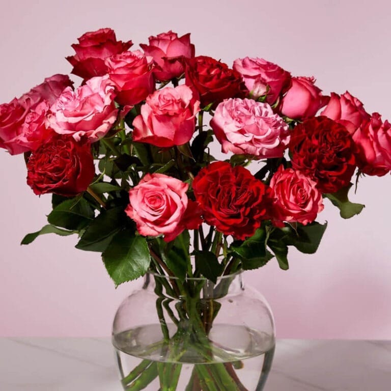 Ramo de San Valentín de rosas mixtas rosadas y rojas - Les Fleurs Madrid