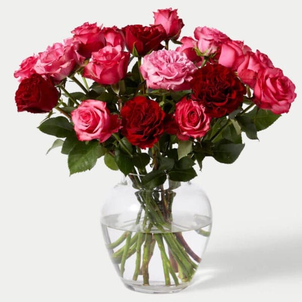 ramo de rosas rojas y rosadas para envio express a domicilio