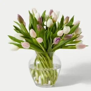 Ramo de Tulipanes mixtos | Les Fleurs Madrid