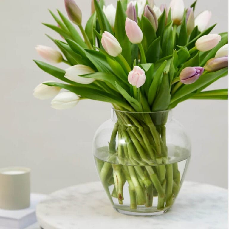 Ramo de Tulipanes mixtos - Les Fleurs Madrid