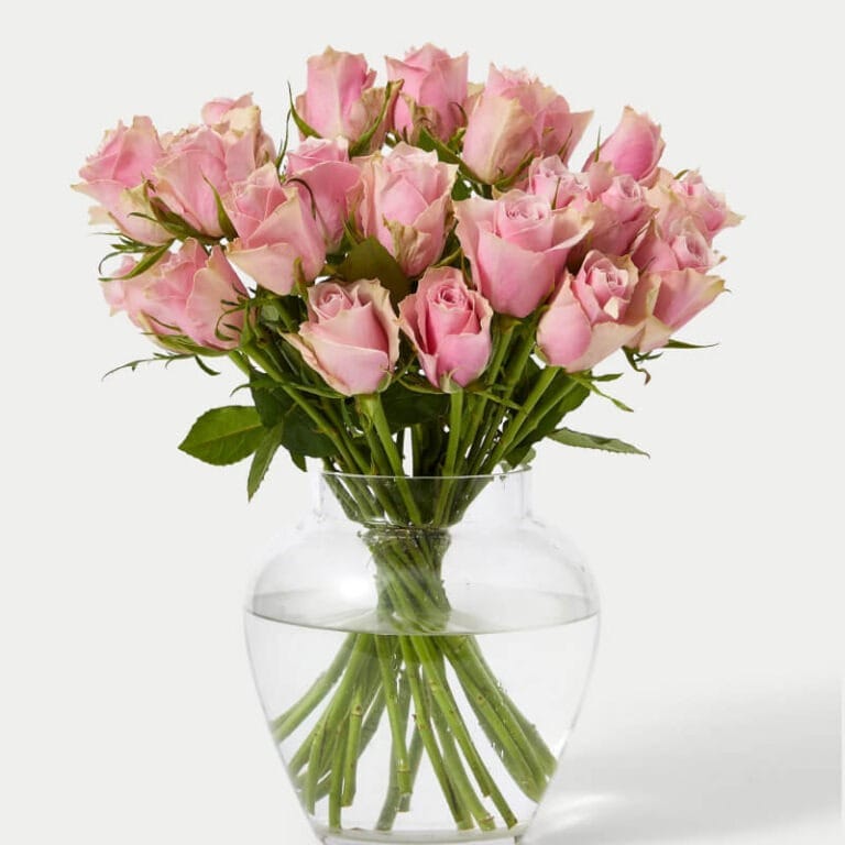 Rosas Ruborizadas - Les Fleurs Madrid