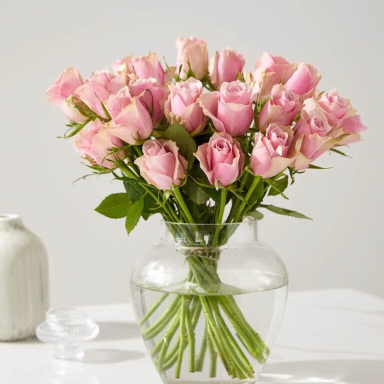 Rosas Ruborizadas - Les Fleurs Madrid