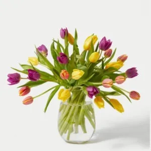 Tulipanes Les Fleurs