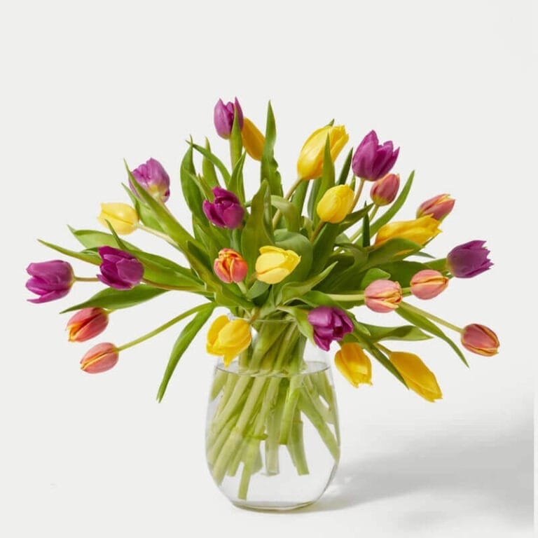 30 Tulipanes Vibrantes - Les Fleurs Madrid
