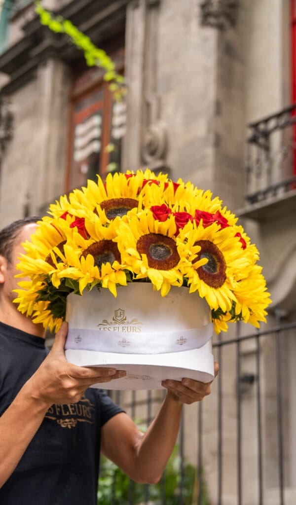 Girasoles de temporada