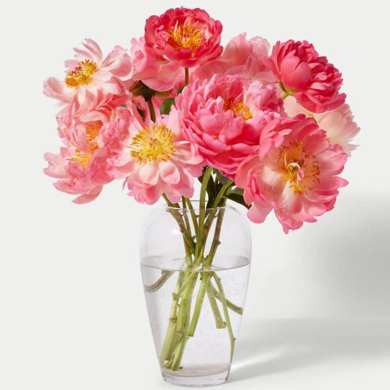 Bouquet de Peonías - Les Fleurs Madrid
