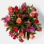 Eclipse Floral2
