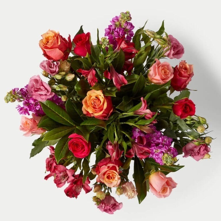 Eclipse Floral - Les Fleurs Madrid