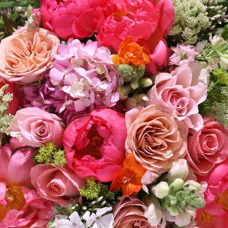 Hermosa Regi  – Peonías y Rosas - Les Fleurs Madrid