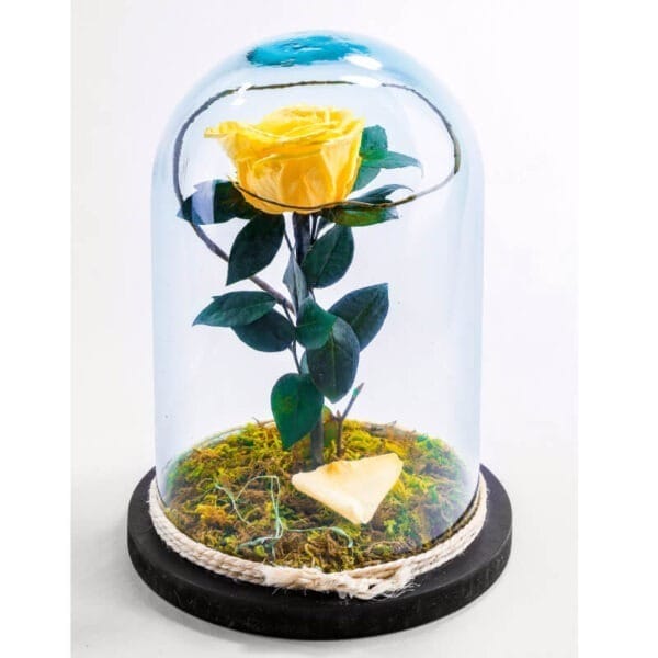 Rosa Preservada en Cúpula de Cristal Amarilla - Imagen 2 | Les Fleurs Madrid