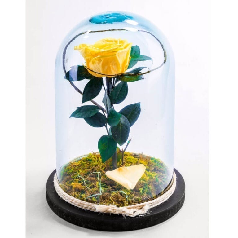 Rosa Amarilla Preservada En Cupula De Cristal - Les Fleurs