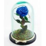 Rosa azul preservada en cúpula de cristal