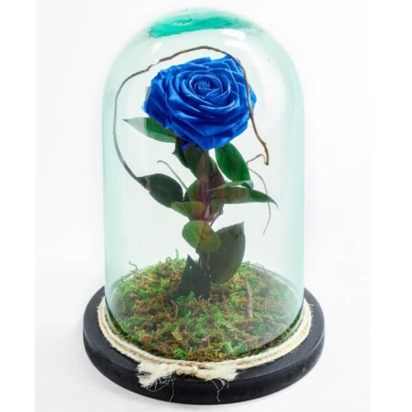Rosa azul preservada en cúpula de cristal