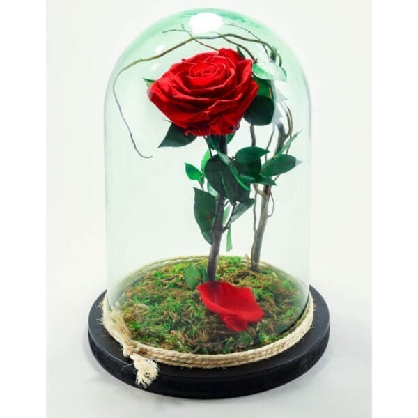 Rosa roja preservada en cristal