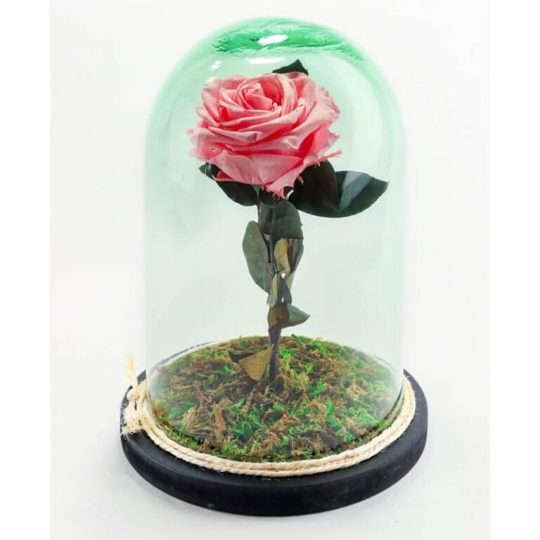 Rosa Rosada Preservada En Cristal - Les Fleurs