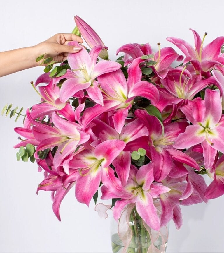 Lirios Premium - Les Fleurs Madrid