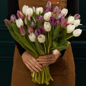 Person wearing a brown apron holds a large bouquet of white and purple tulips with green stems against a dark background.