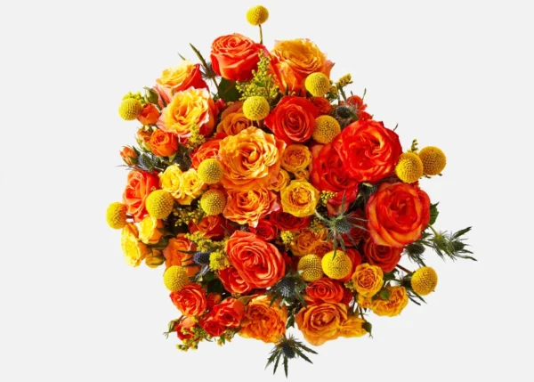 Triple The Firecracker - Imagen 2 | Les Fleurs Madrid