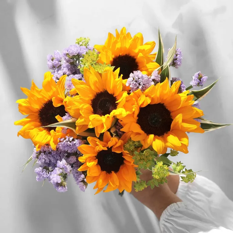Costa del Sol - Les Fleurs Madrid