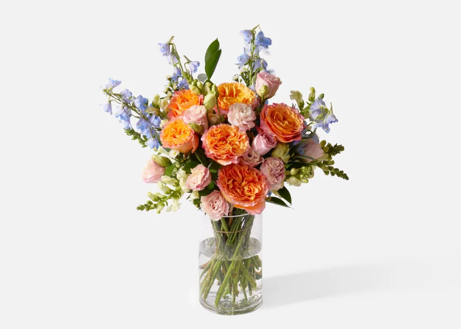 Bouquet of orange and pink roses with blue delphiniums in a clear glass vase on a white background