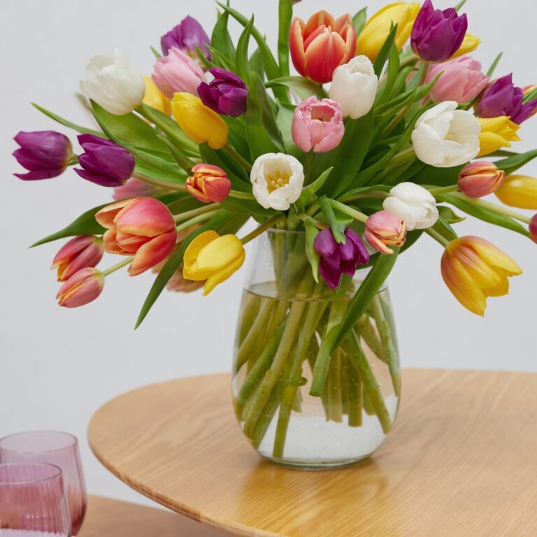 40 Tulipanes - Les Fleurs