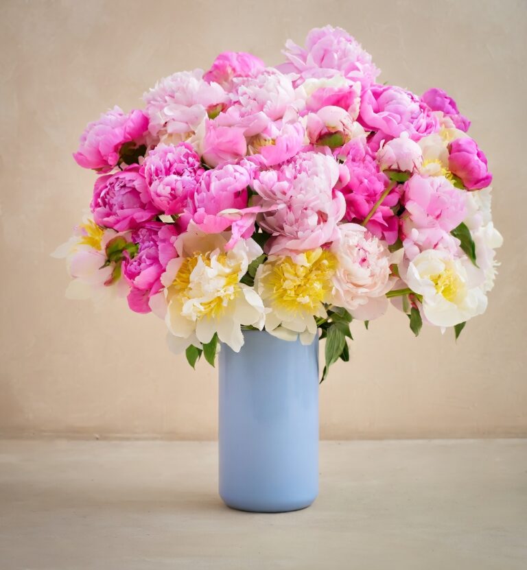 La Peonía - Les Fleurs Madrid