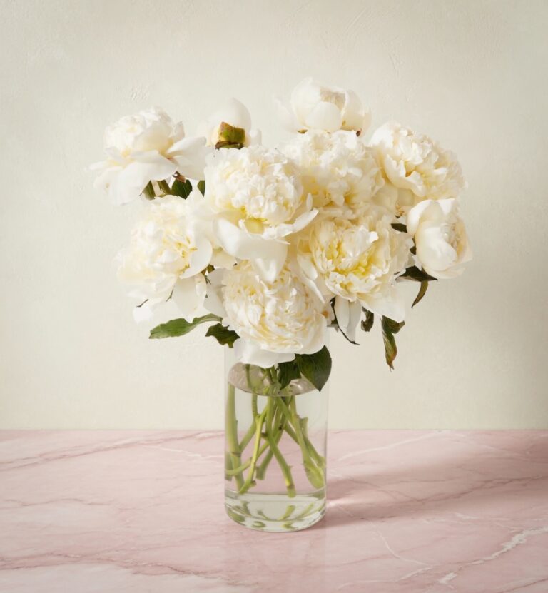 La Peonía - Les Fleurs Madrid