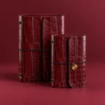 Journal Burdeos Croco