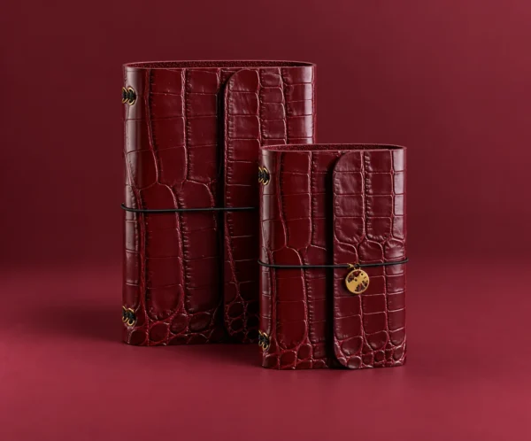 Journal Burdeos Croco