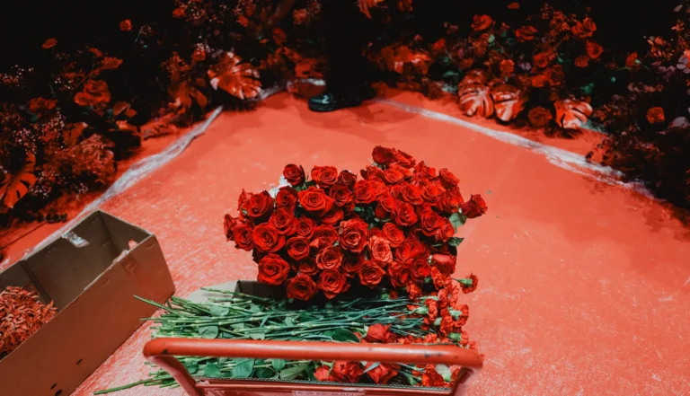Rosas Rojas En El Montaje De Los Premios Goya - Les Fleurs